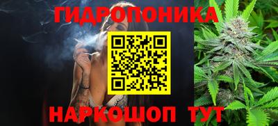стаф Краснознаменск