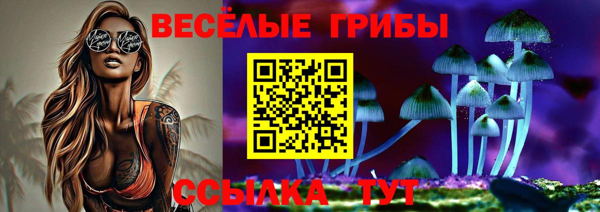 Псилоцибиновые грибы MAGIC MUSHROOMS Красногорск