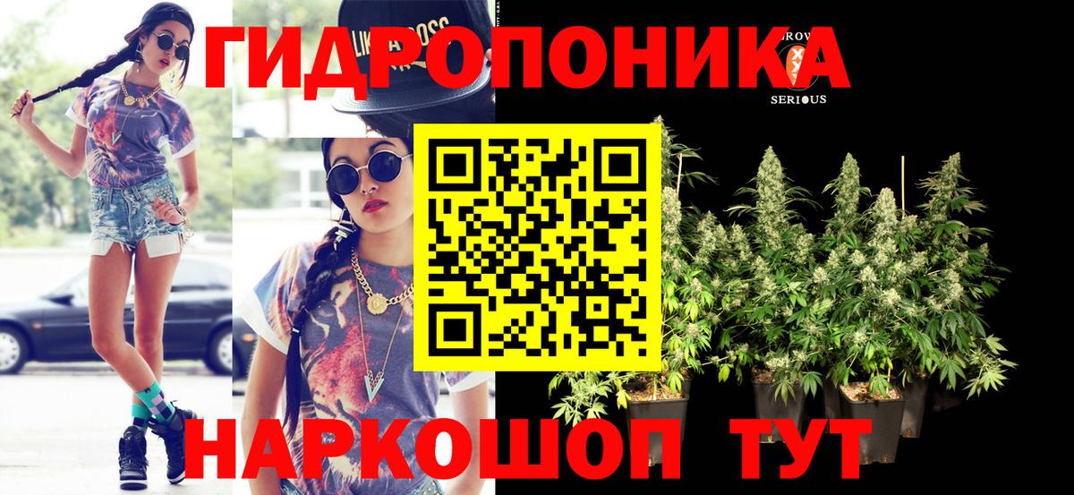 Каннабис ГИДРОПОН  Шишки марихуана Amnesia  Красногорск  Вход с VPN  Бошки Шишки ГИДРОПОН 